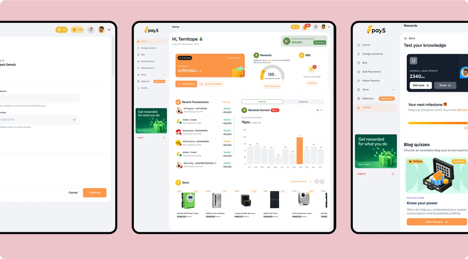PayS website